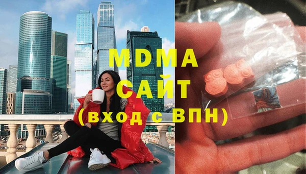 индика Ельня