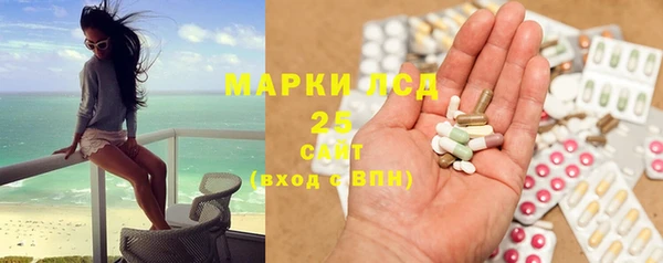 индика Ельня