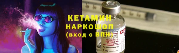 индика Ельня
