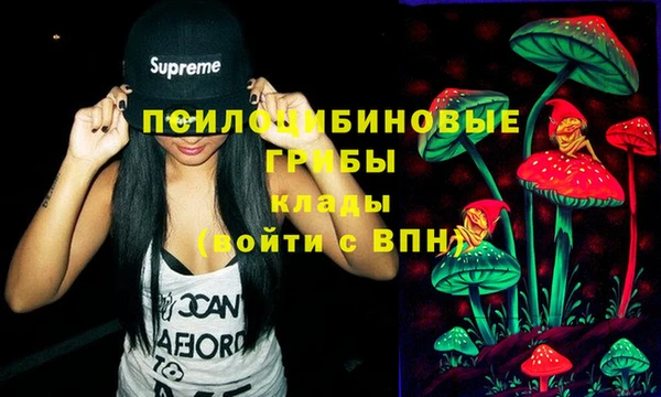 меф Осташков