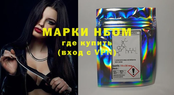 индика Ельня